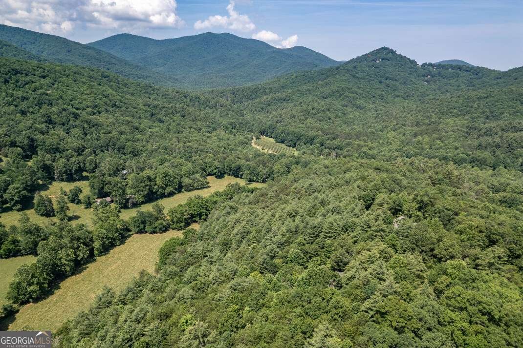 404 Earney Road Blairsville - 61