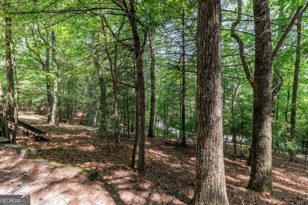 404 Earney Road Blairsville - 7