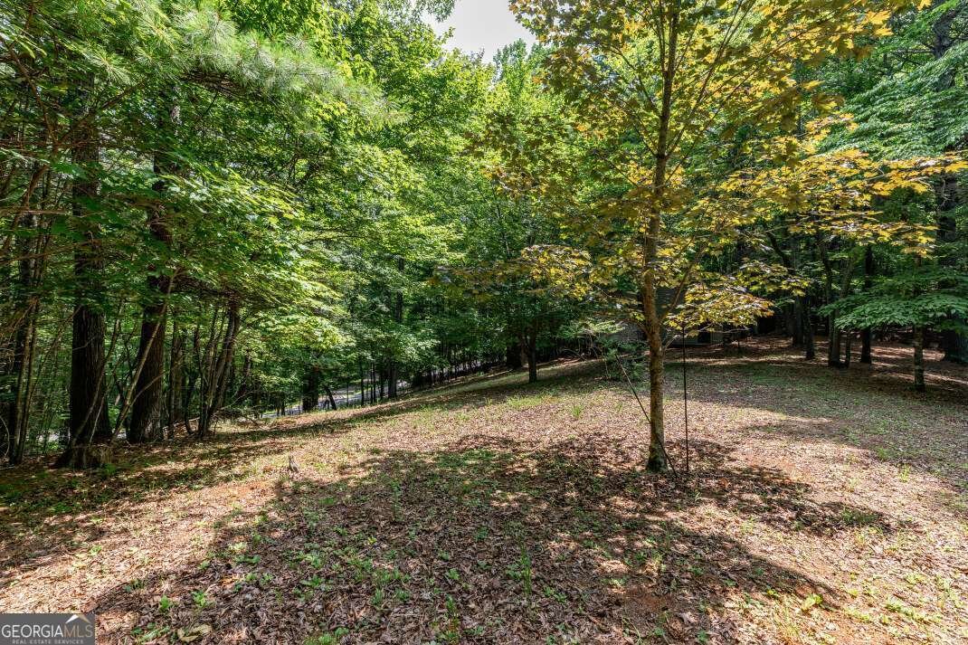 404 Earney Road Blairsville - 8
