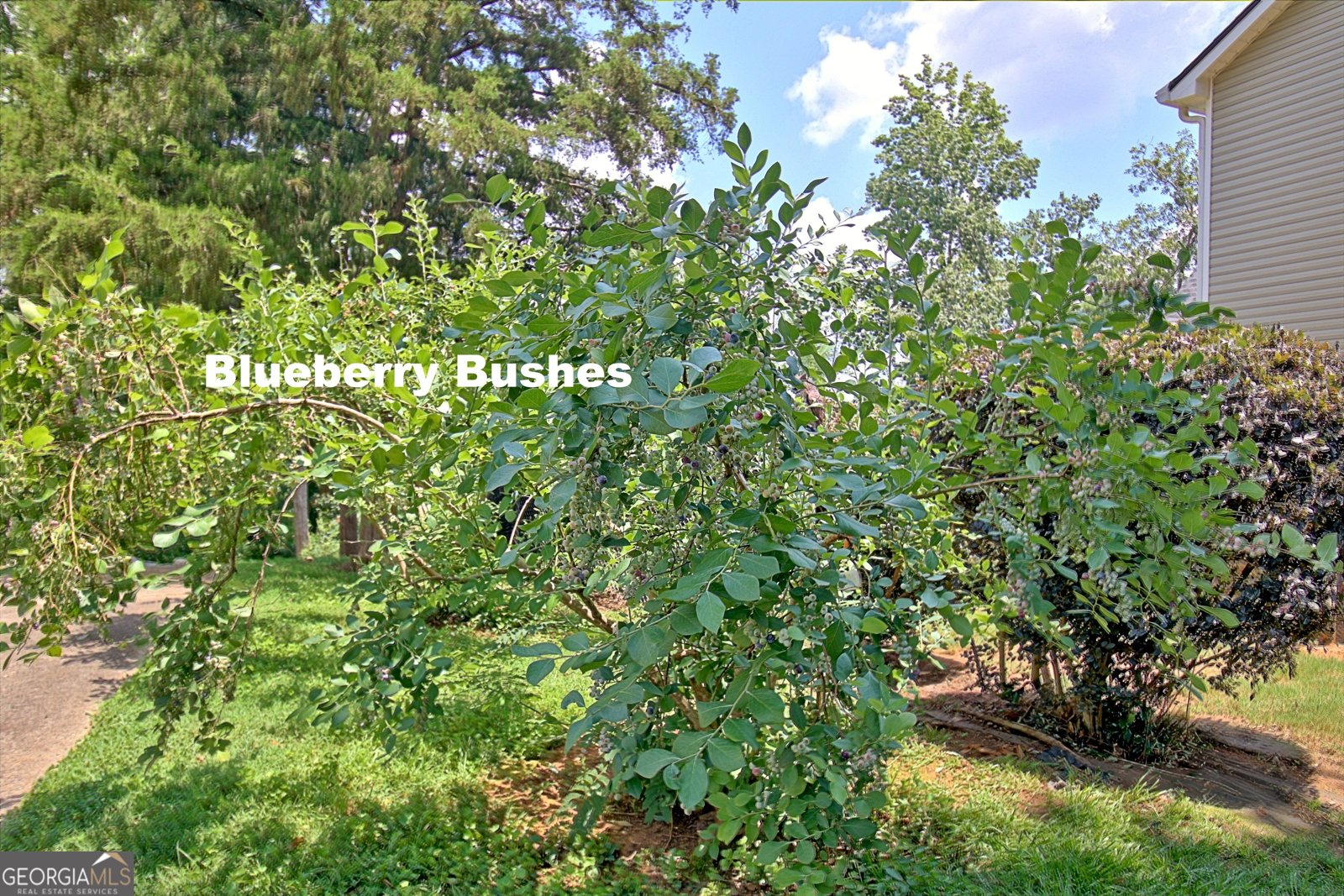 12 Plantation Drive Newnan - 9