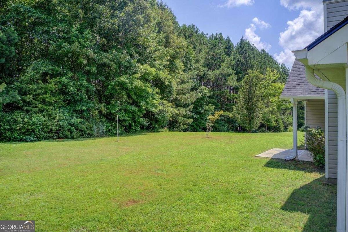 221 Glenview Trail Griffin - 32