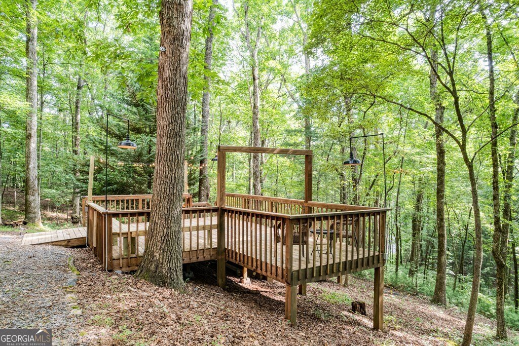 371 Abbott Top Road Ellijay - 19