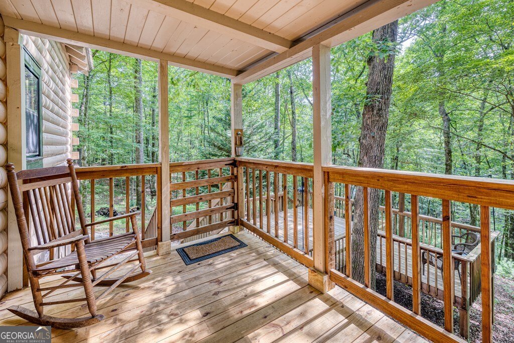 371 Abbott Top Road Ellijay - 39