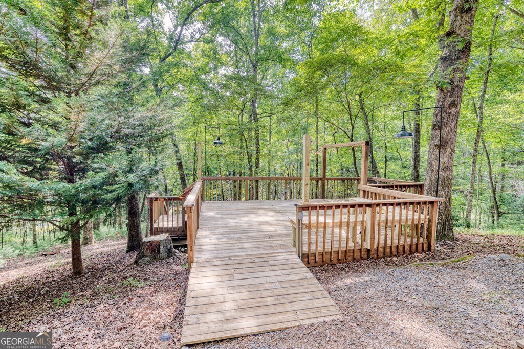 371 Abbott Top Road Ellijay - 40