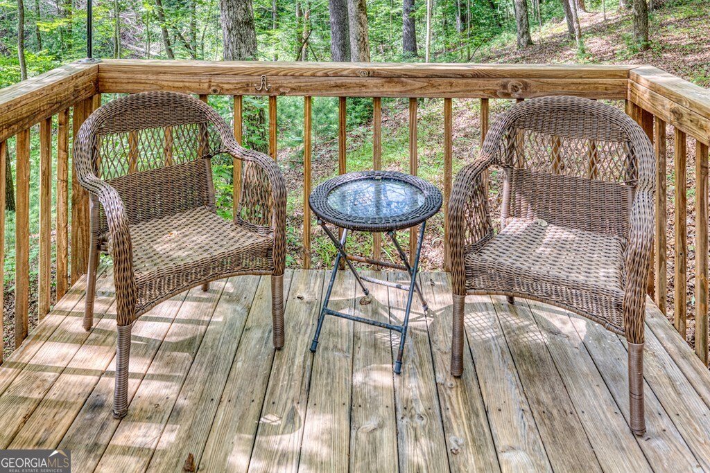 371 Abbott Top Road Ellijay - 42
