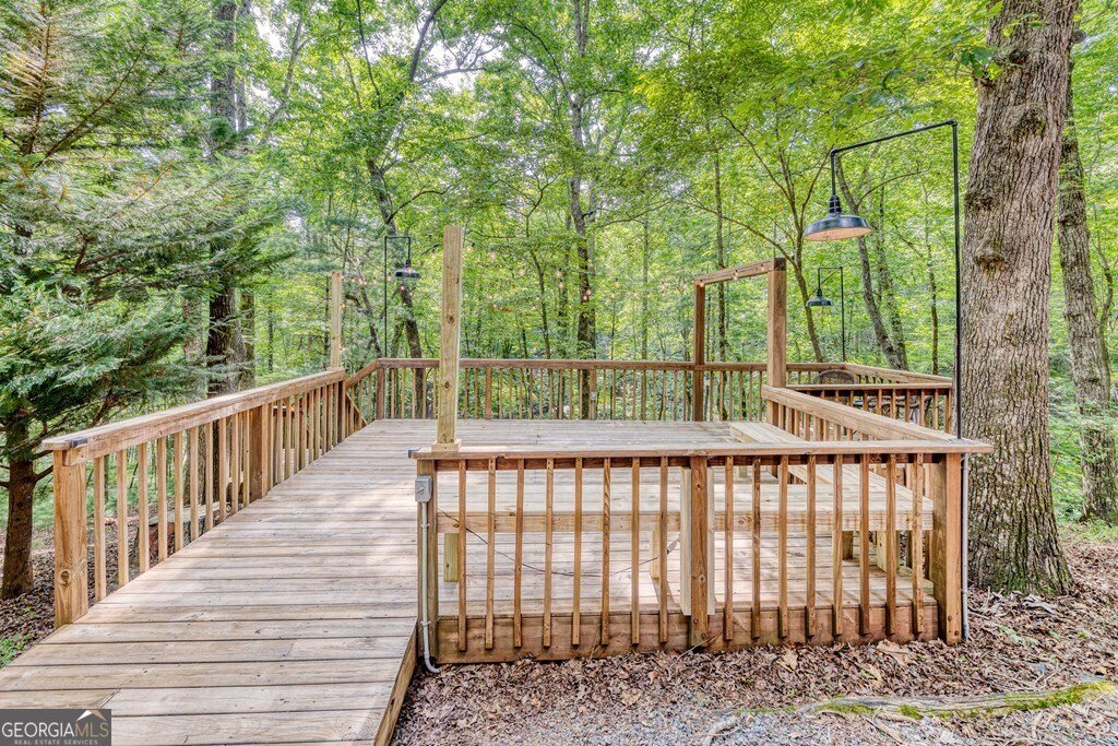 371 Abbott Top Road Ellijay - 48