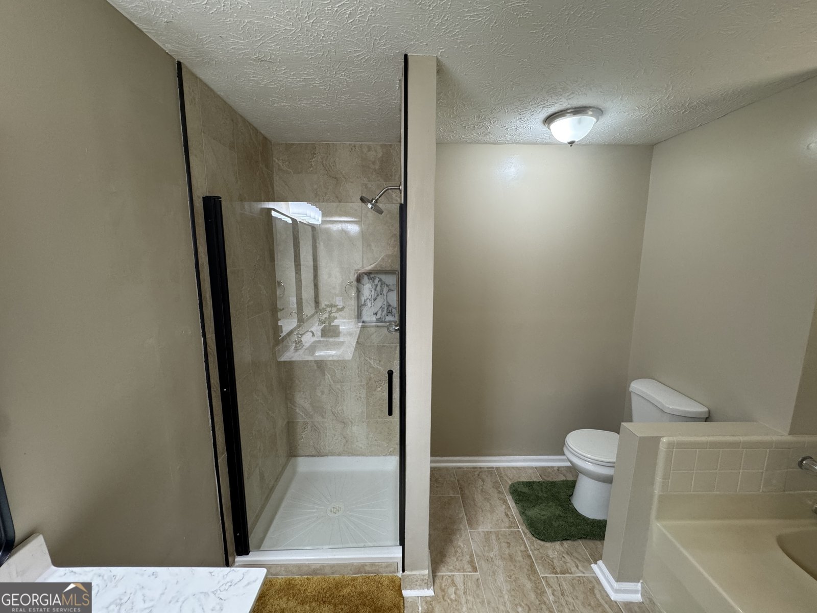 110 Stagecoach Trail Stockbridge - 19