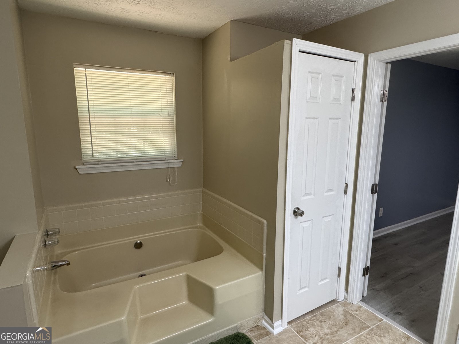 110 Stagecoach Trail Stockbridge - 20