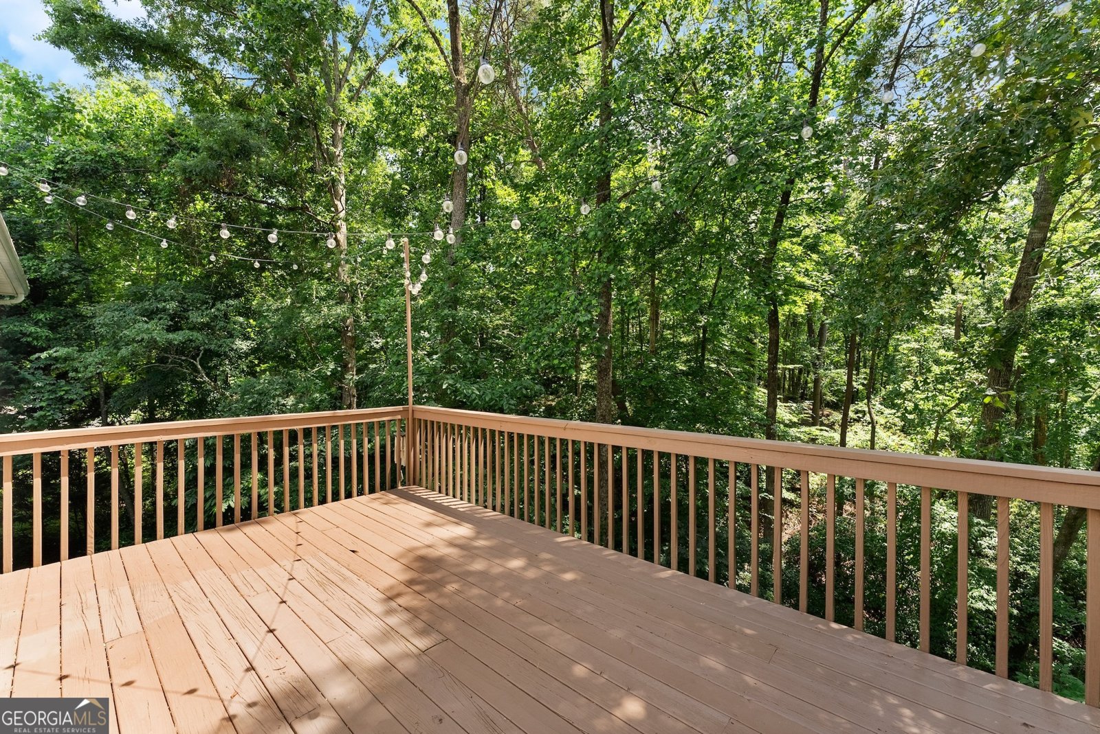 4849 Thunder River Drive Gainesville - 10