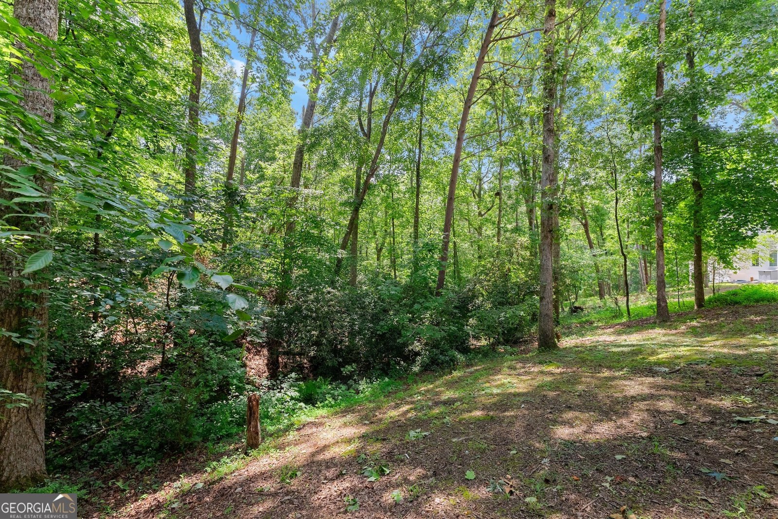 4849 Thunder River Drive Gainesville - 19