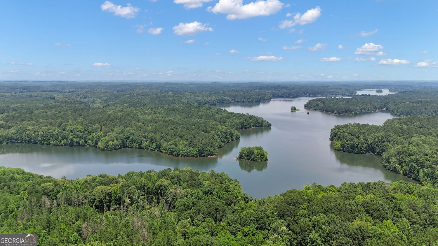 147 Wolf Creek Cove Lagrange - 5