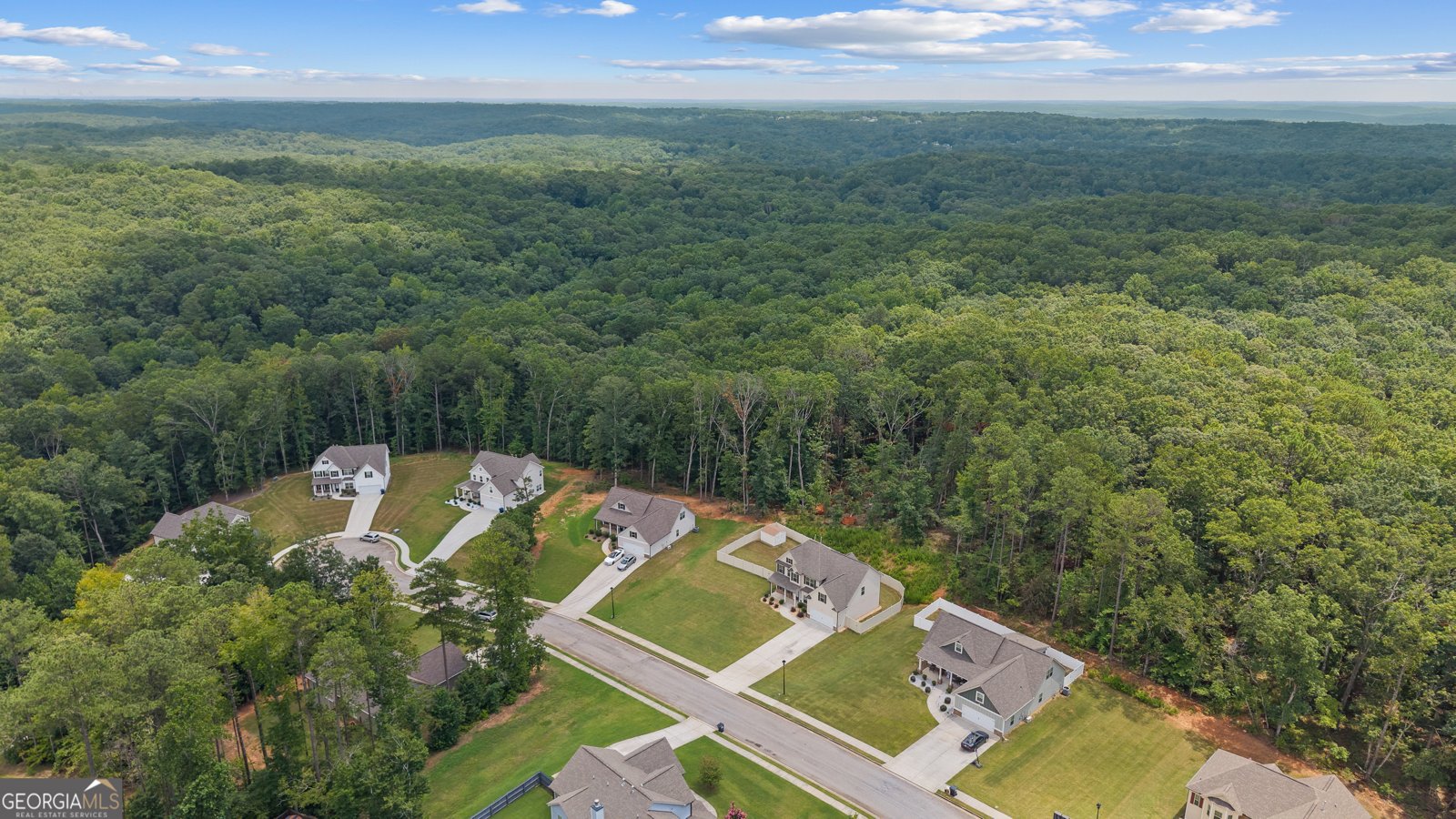 5890 Crowley Drive Douglasville - 39