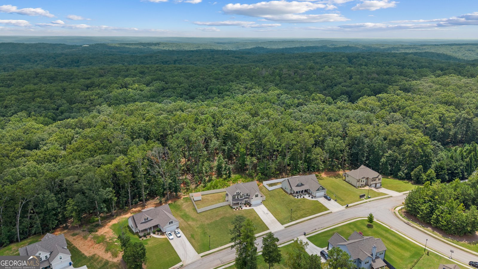 5890 Crowley Drive Douglasville - 40