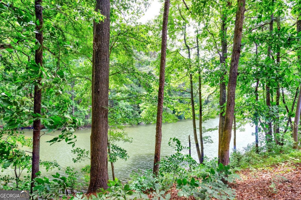 41 Basswood Circle Sandy Springs - 2