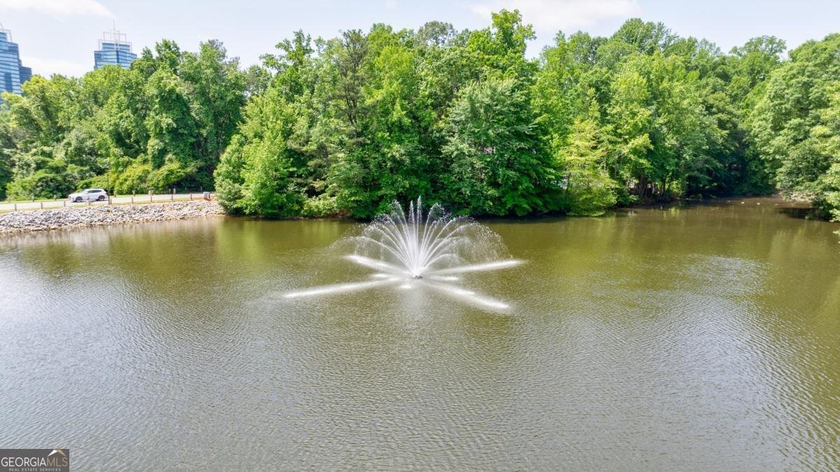 41 Basswood Circle Sandy Springs - 33