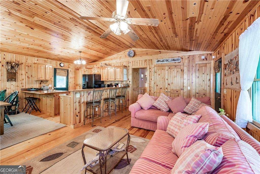 1061 Banks Road Ellijay - 11