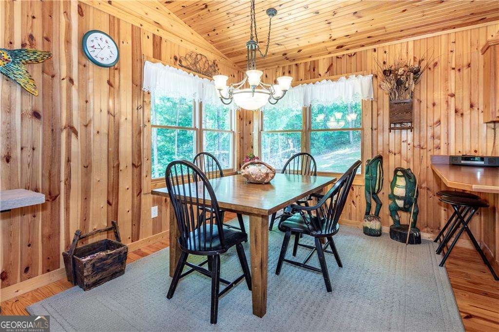 1061 Banks Road Ellijay - 13