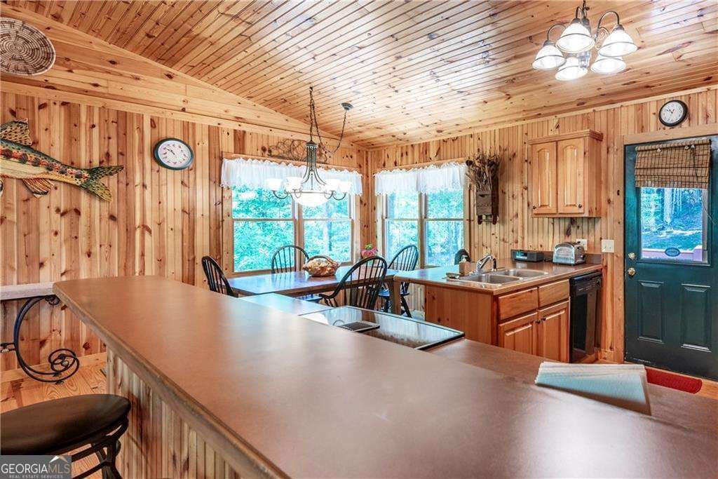 1061 Banks Road Ellijay - 19