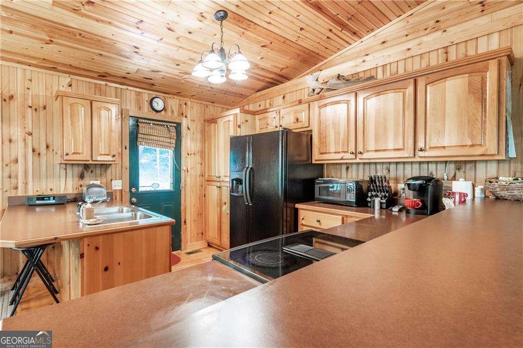 1061 Banks Road Ellijay - 20