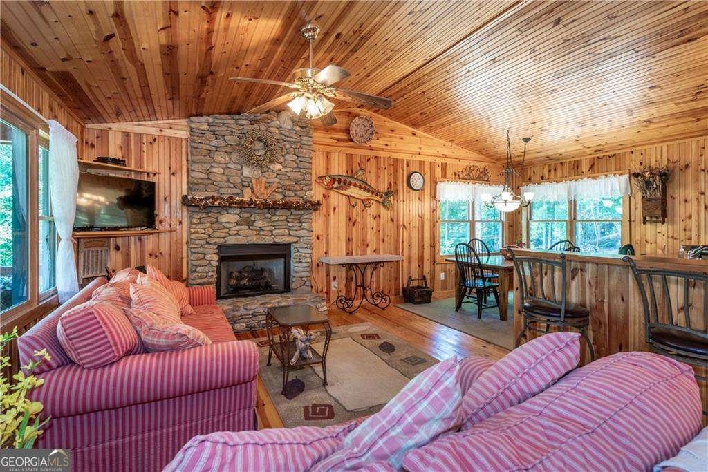 1061 Banks Road Ellijay - 3