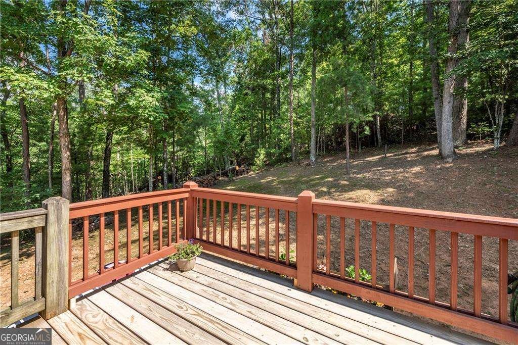 1061 Banks Road Ellijay - 32