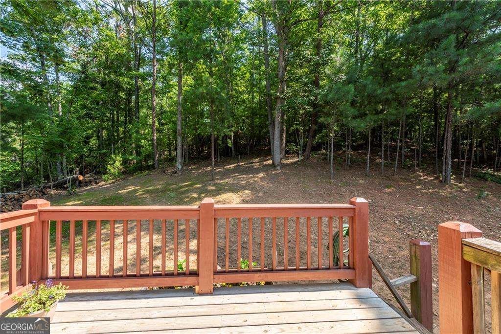 1061 Banks Road Ellijay - 33