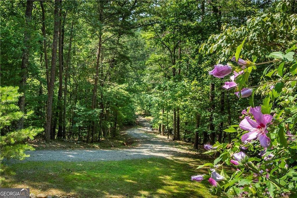 1061 Banks Road Ellijay - 4