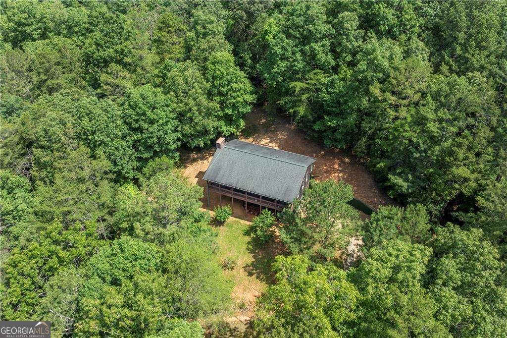 1061 Banks Road Ellijay - 5