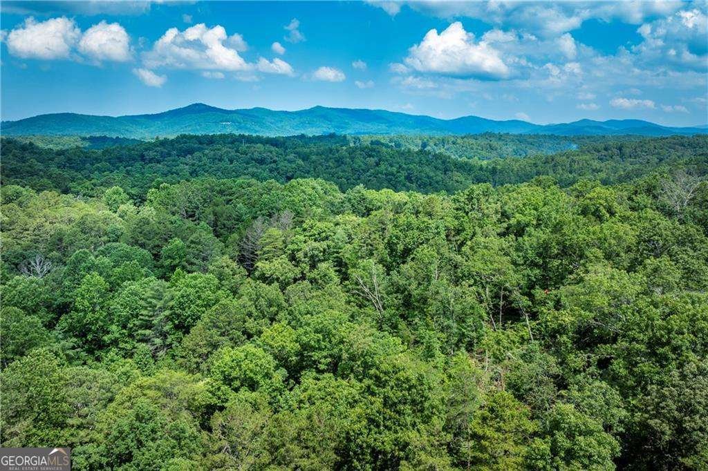 1061 Banks Road Ellijay - 6