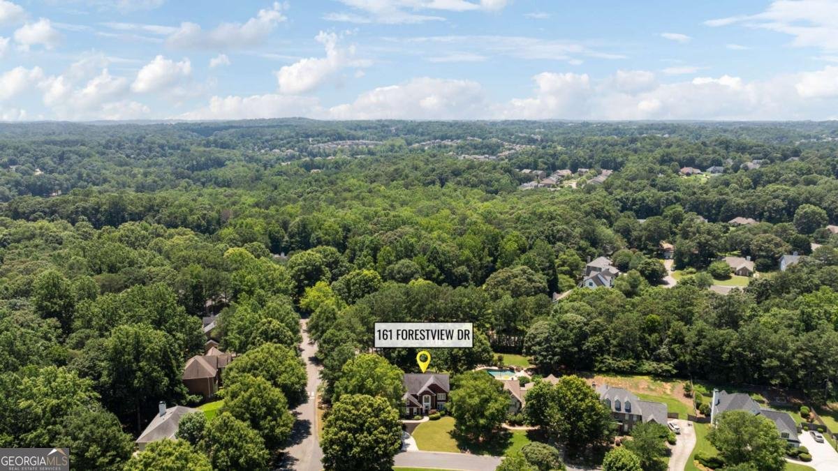 161 Forestview Drive Suwanee - 3
