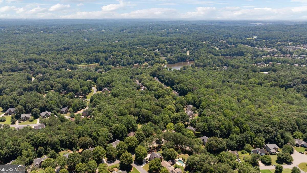 161 Forestview Drive Suwanee - 53