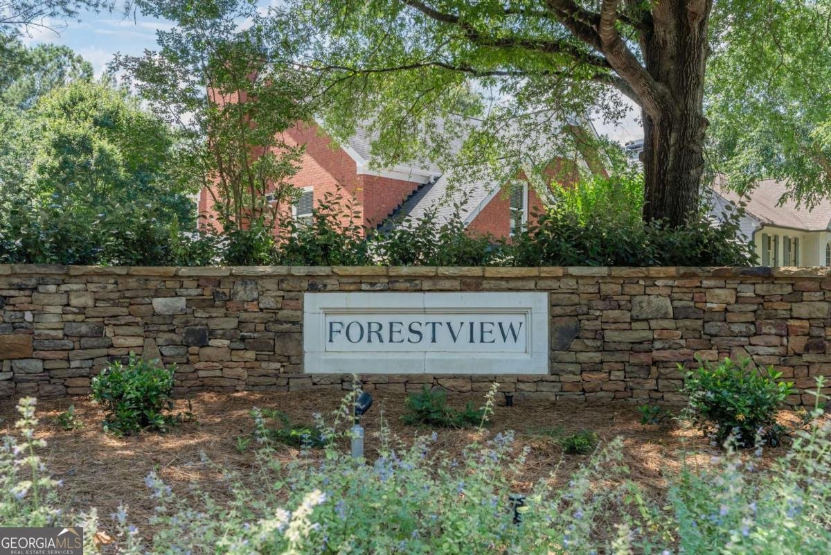 161 Forestview Drive Suwanee - 55