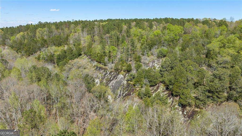 7790 Atlanta Newnan Road Chattahoochee Hills - 37