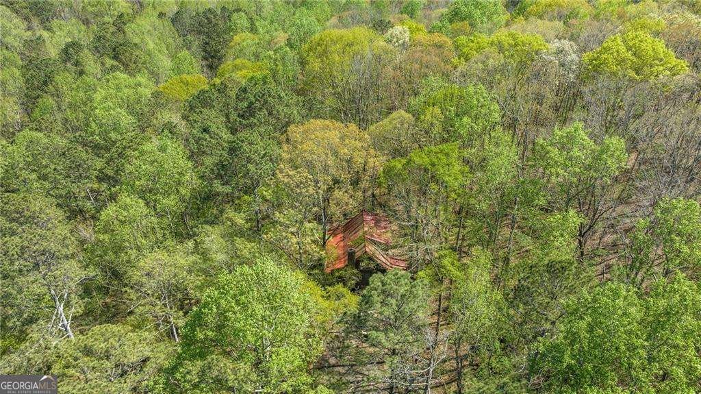 7790 Atlanta Newnan Road Chattahoochee Hills - 41