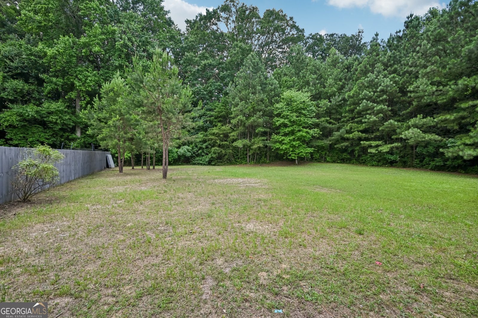231 Silver Fox Trail Dallas - 38