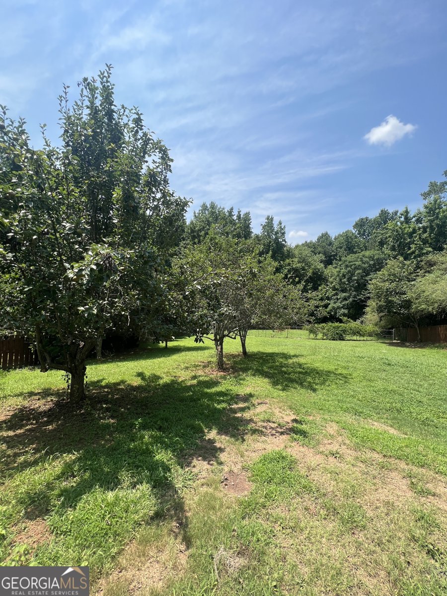 160 Whisperwood Lane Athens - 11
