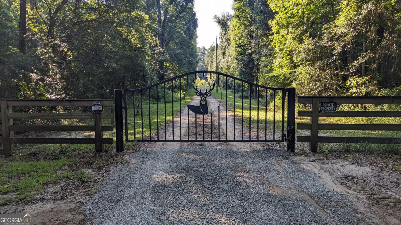 279 1C Lewis Lane Cairo - main photo