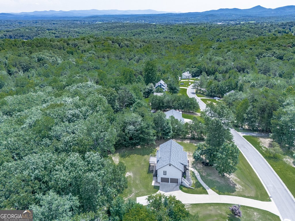 183 Black Knob Falls Drive Ranger - 24