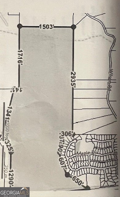 704 Old Milner Road Barnesville - 20