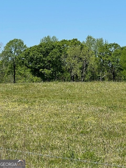 704 Old Milner Road Barnesville - 4