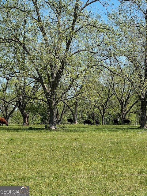704 Old Milner Road Barnesville - 5