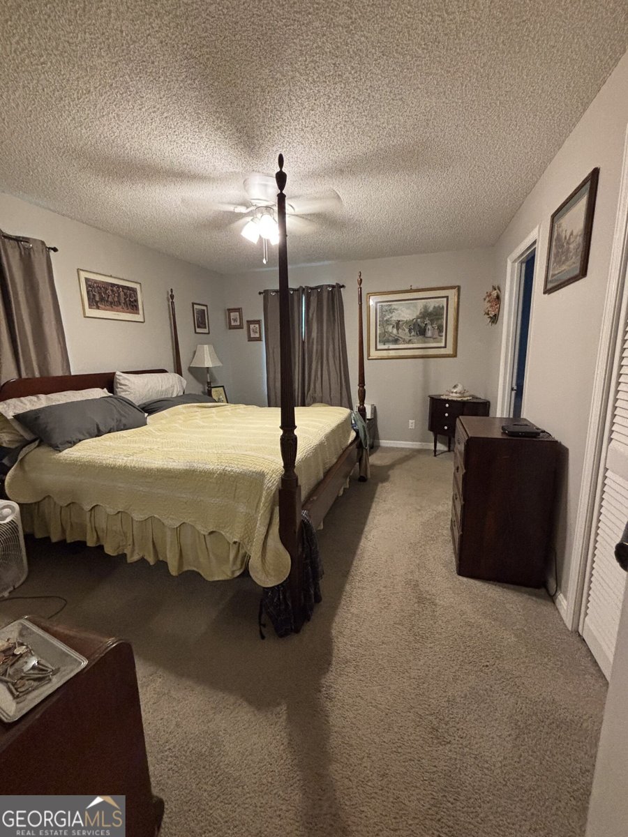 14 Hammock Way Newnan - 18