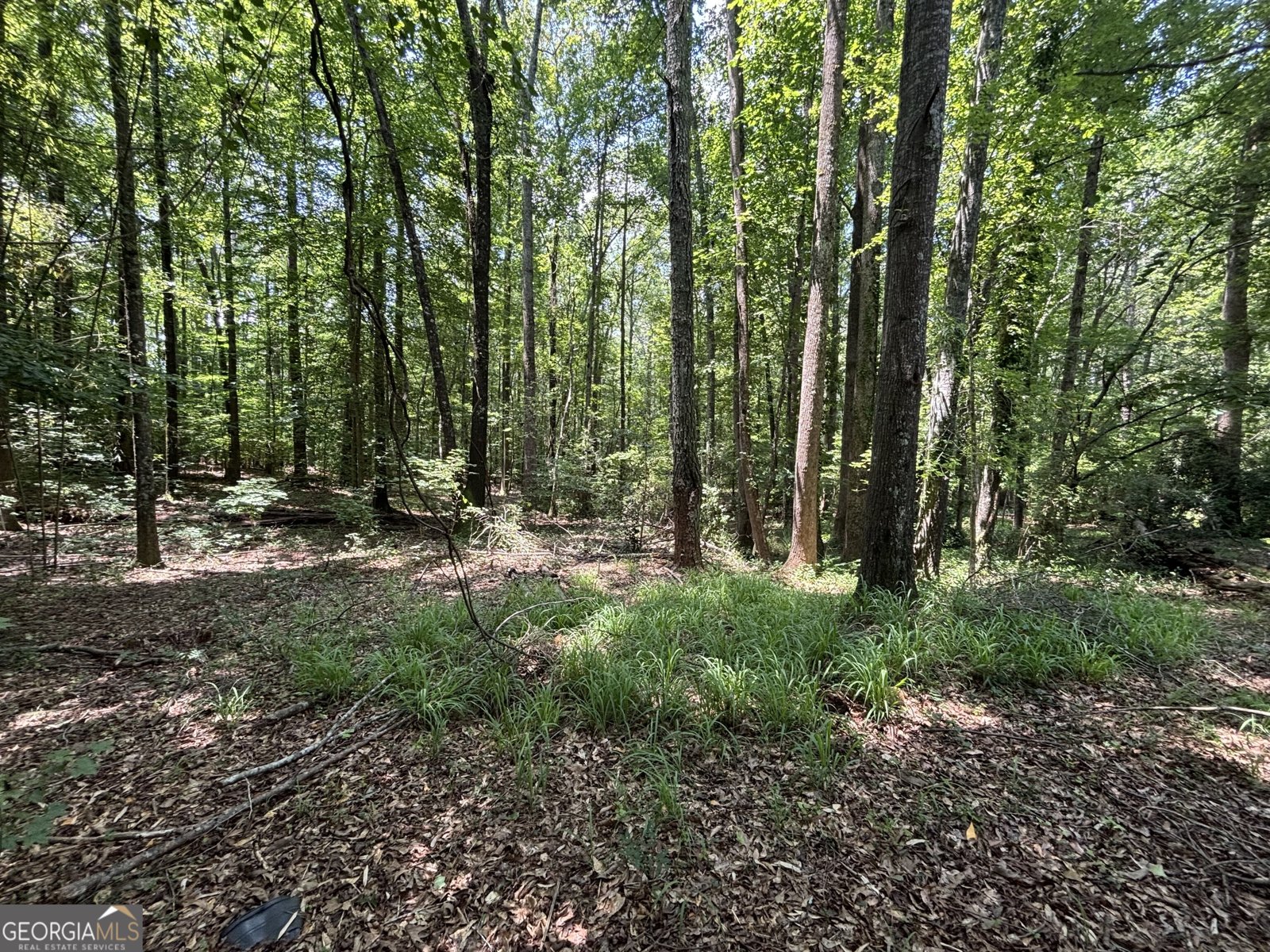 14 Hammock Way Newnan - 31