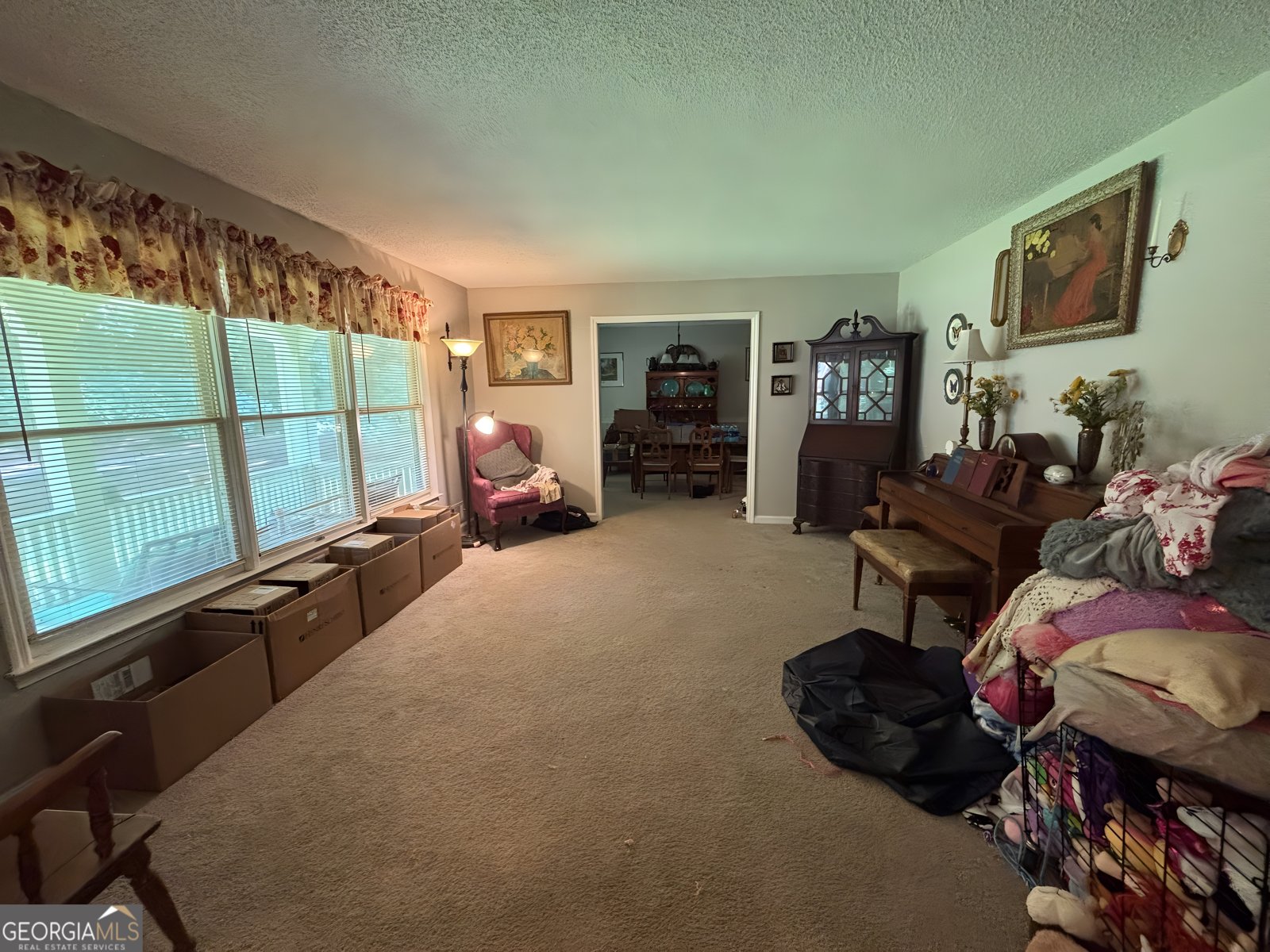 14 Hammock Way Newnan - 6