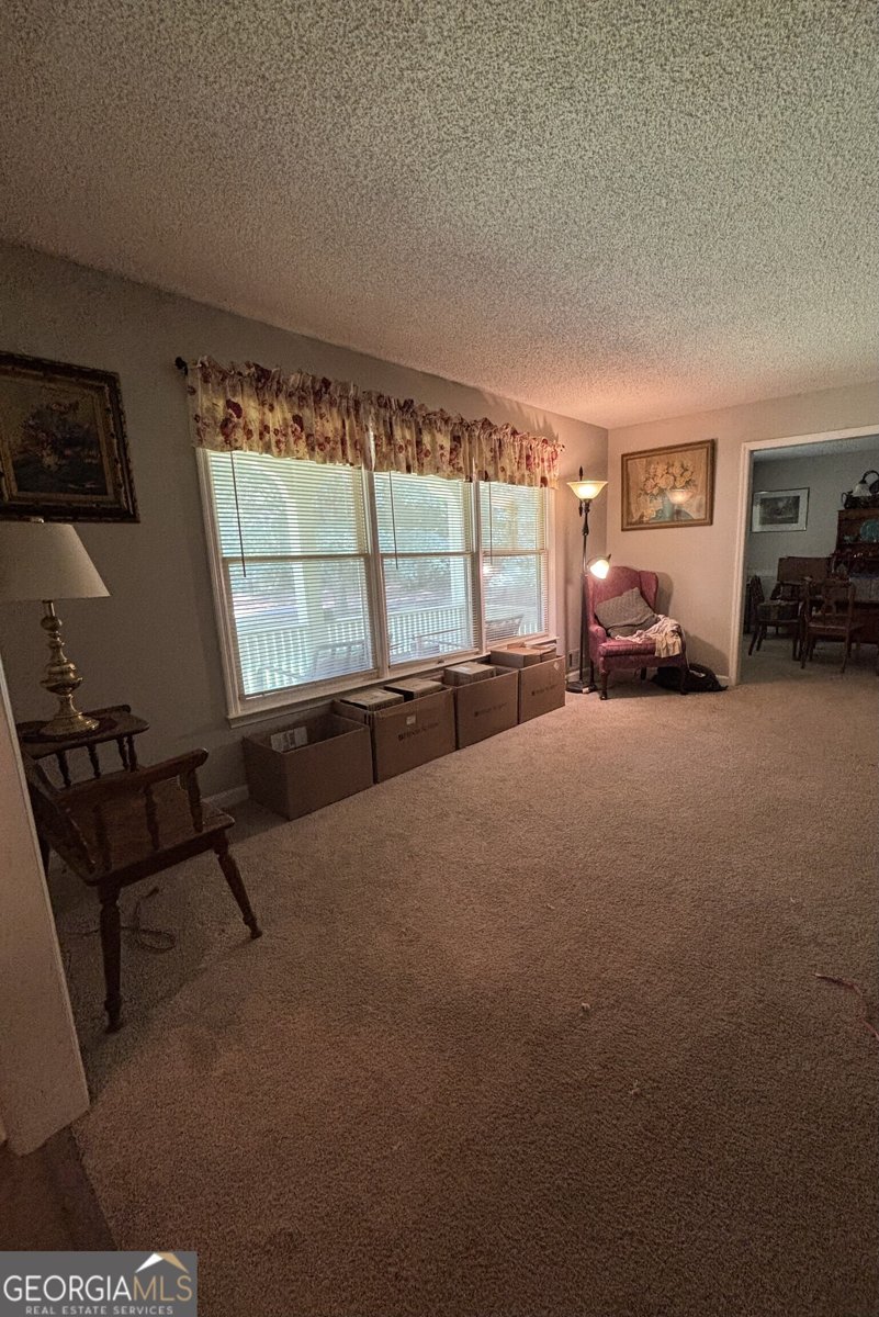 14 Hammock Way Newnan - 7