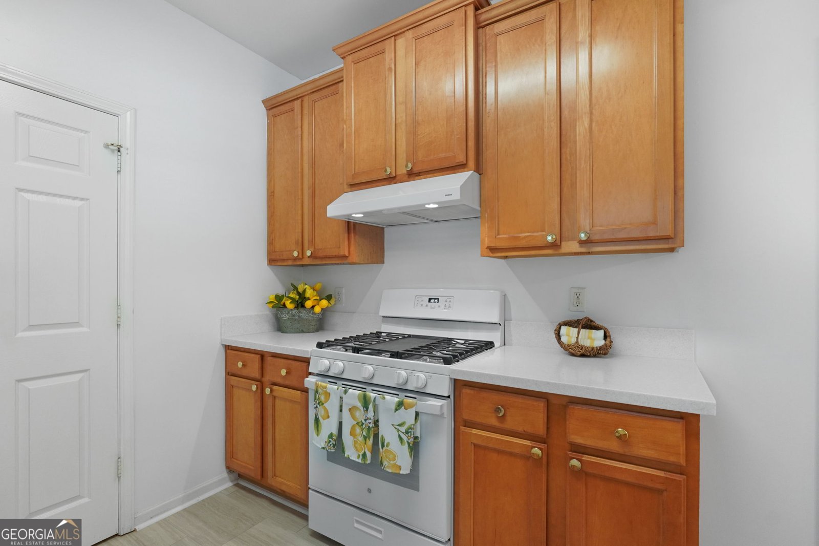 3309 Raes Creek Road Marietta - 15