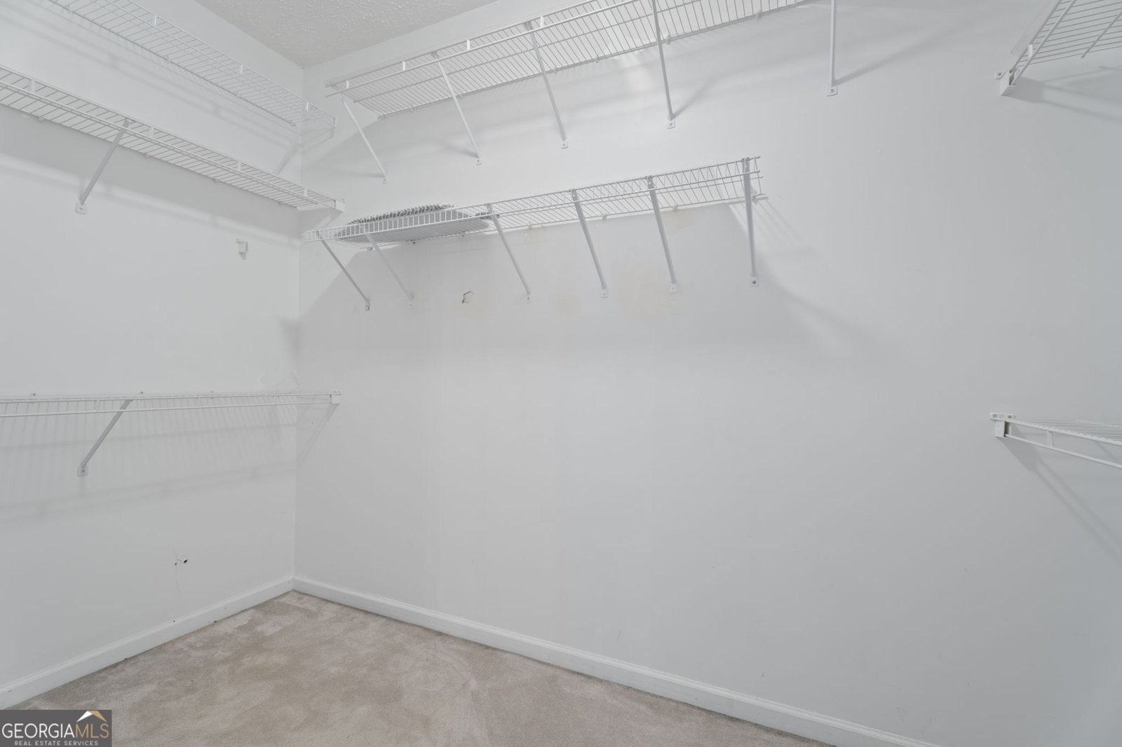 377 Avian Forest Drive Stockbridge - 23