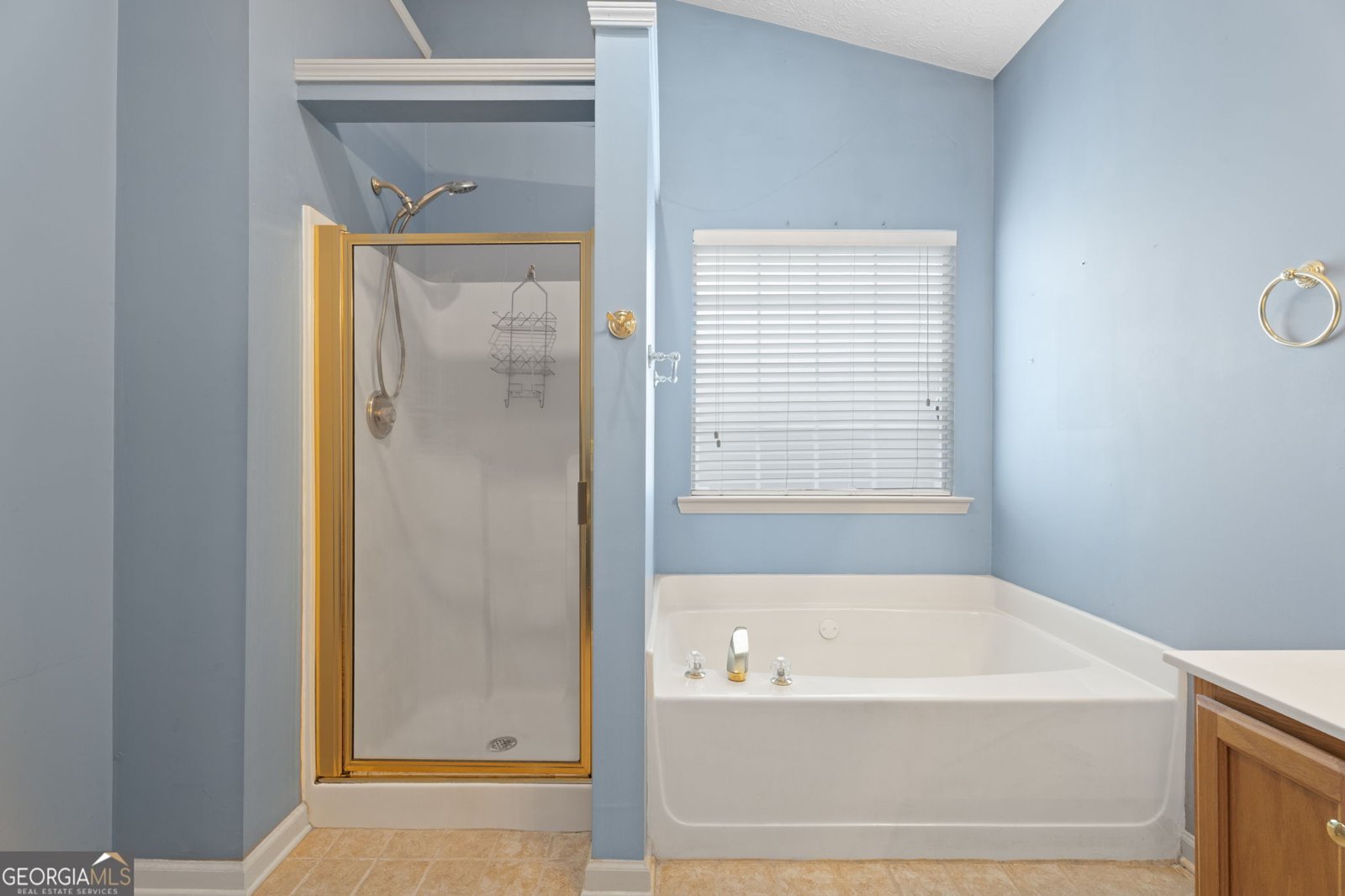 377 Avian Forest Drive Stockbridge - 24