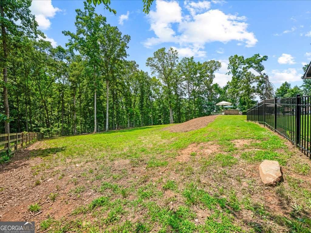 3640 Pollys Bluff Cumming - 53