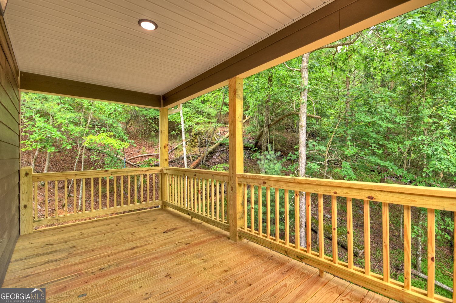 1046 Monticello Drive Ellijay - 8